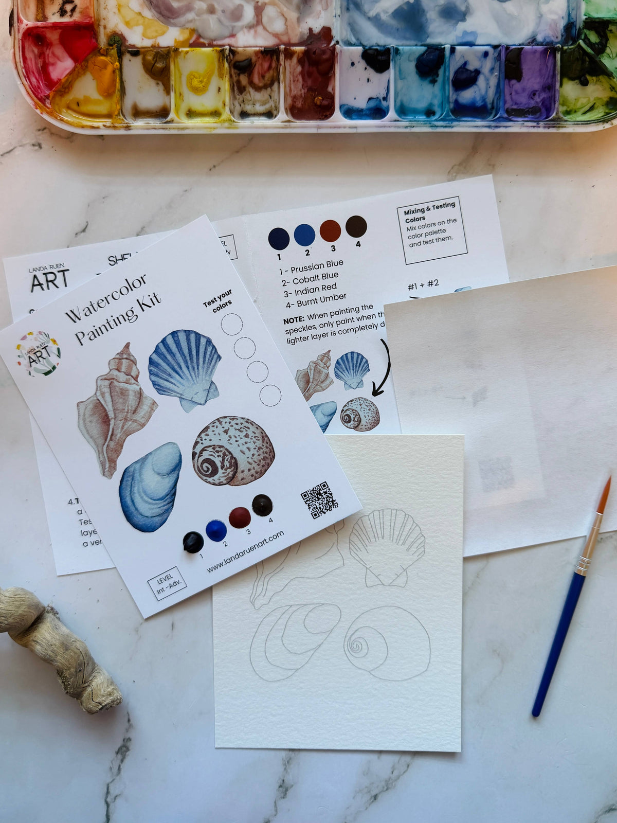 Seashells Watercolor Kit