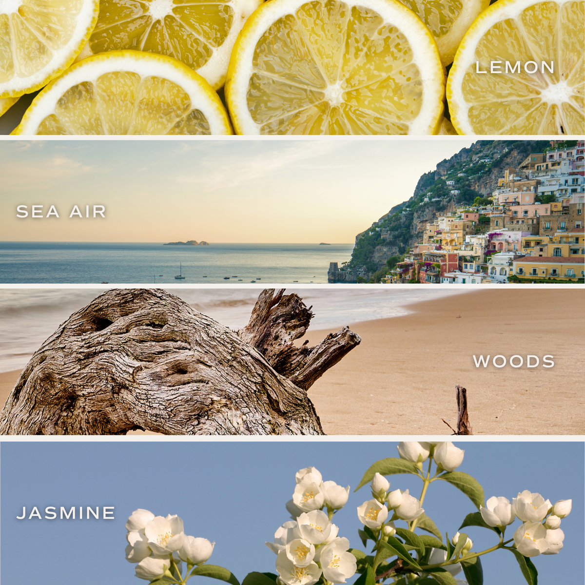 Coastal Lemon Reed Diffuser - Gifts & Home Decor