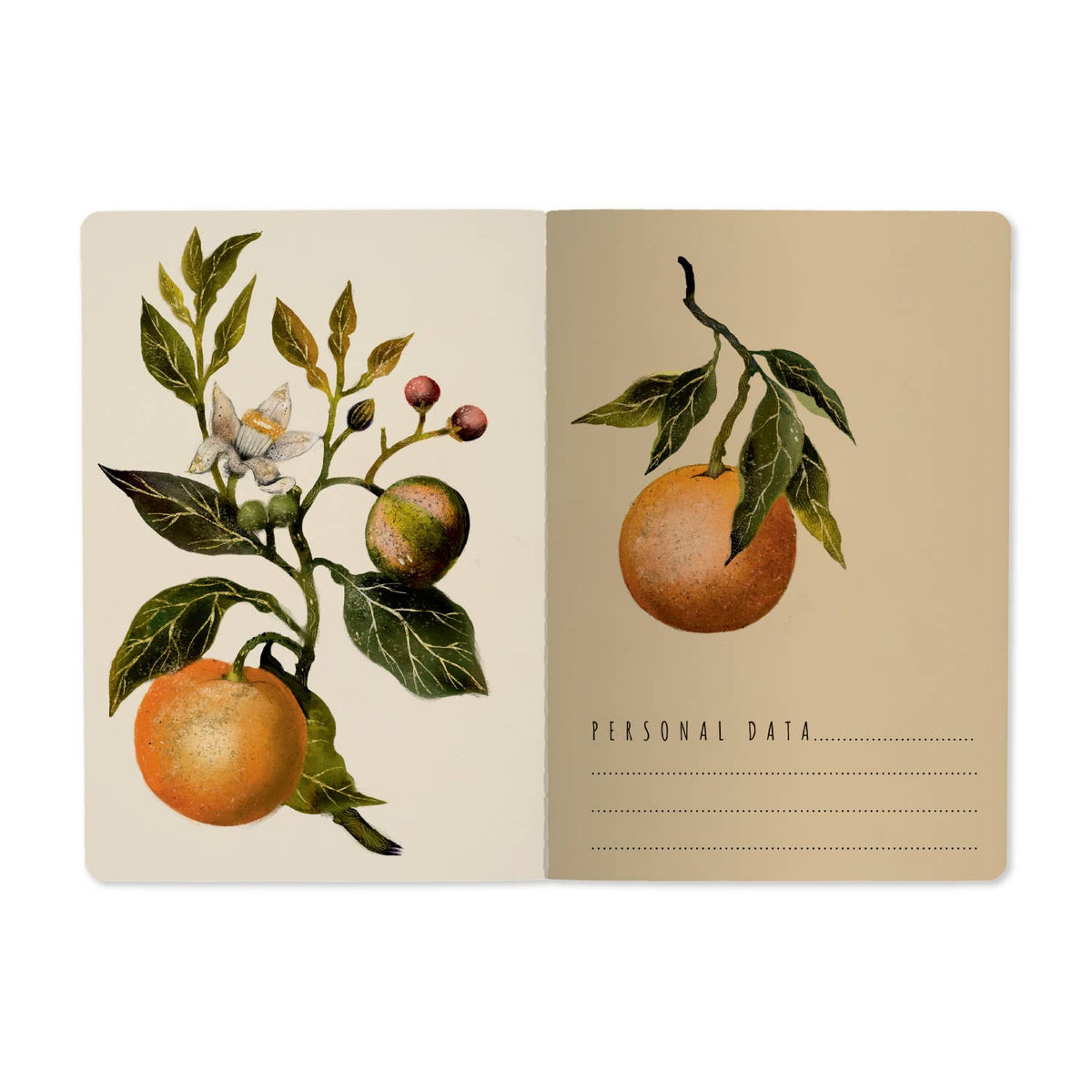 A5 Notebook - Oranges and Blossoms 
