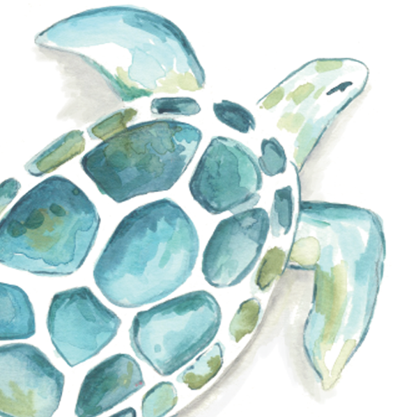 Turtle / Coastal Birthday  greeting Card