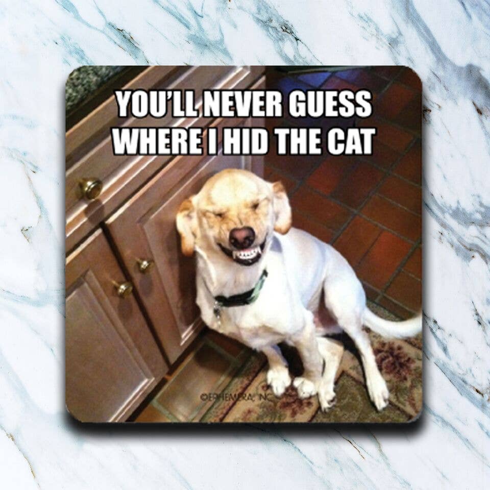 You'll Never Guess Coaster