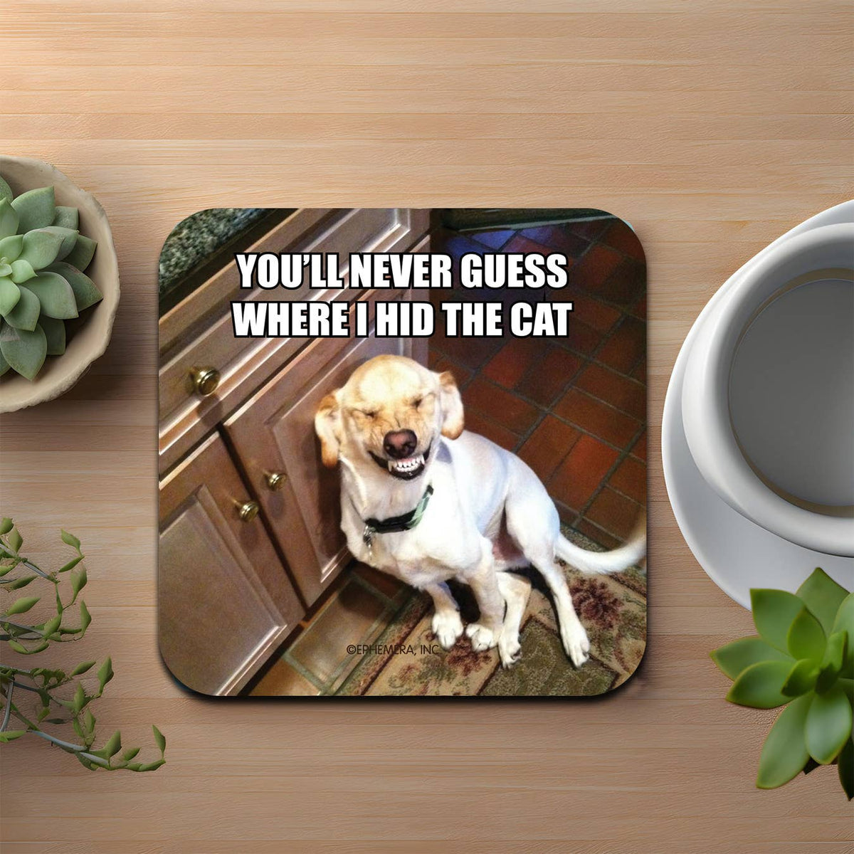 You'll Never Guess Coaster