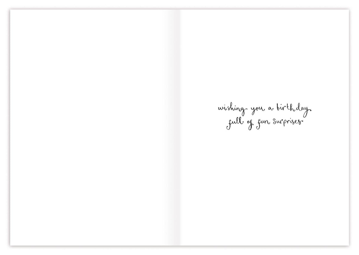 Three Meerkats Birthday Card