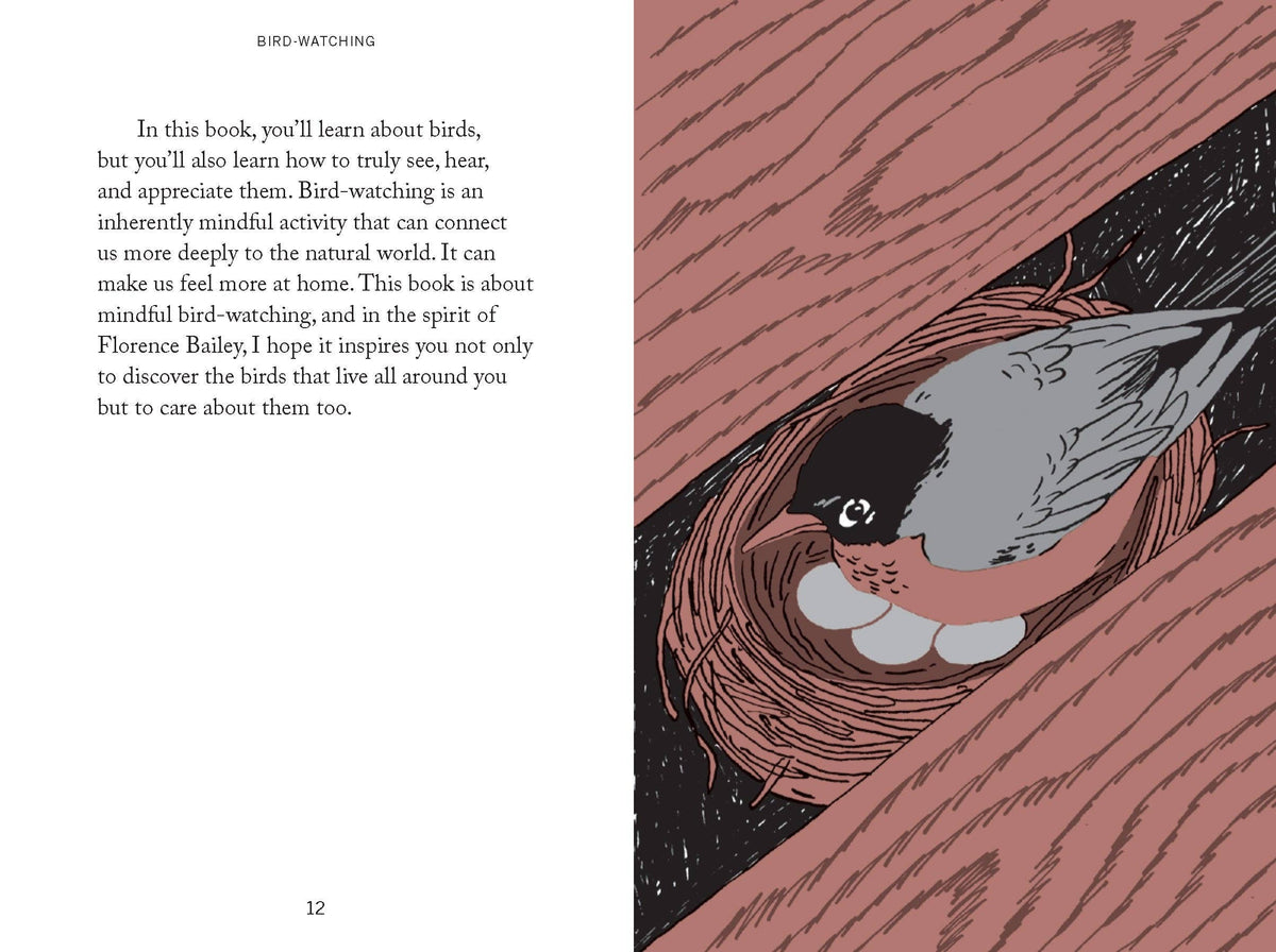 Pocket Nature: Bird-Watching