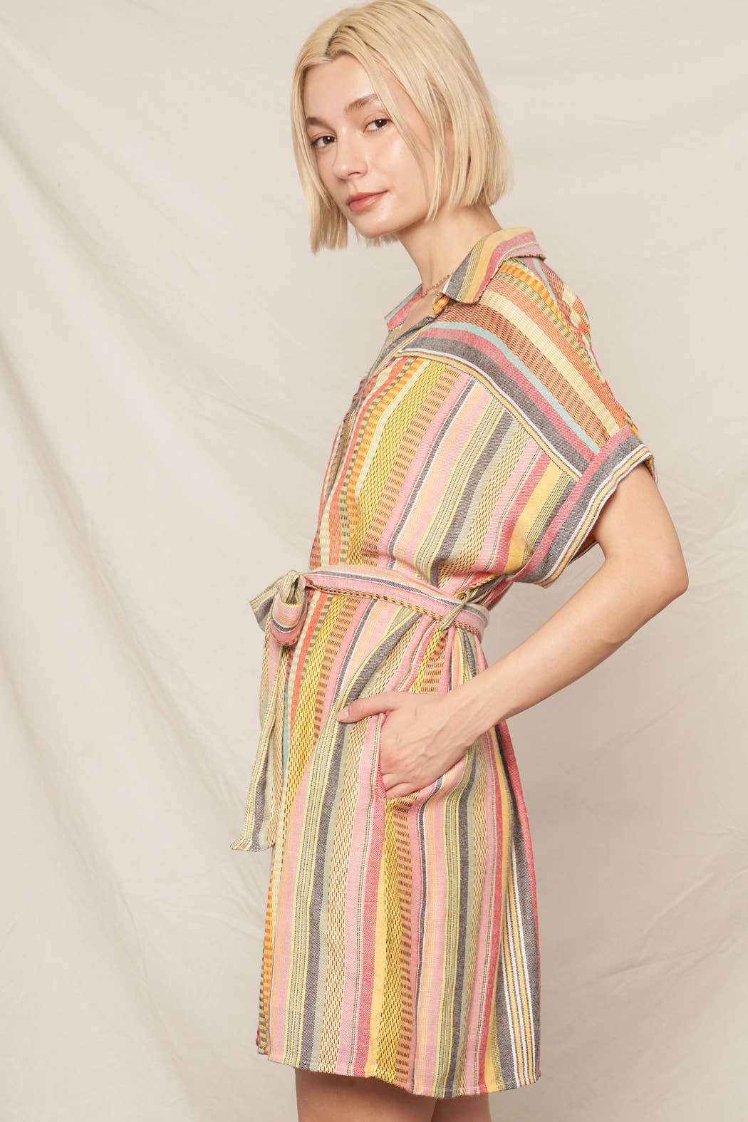 Multicolor Striped Belted Mini Shirt Dress
