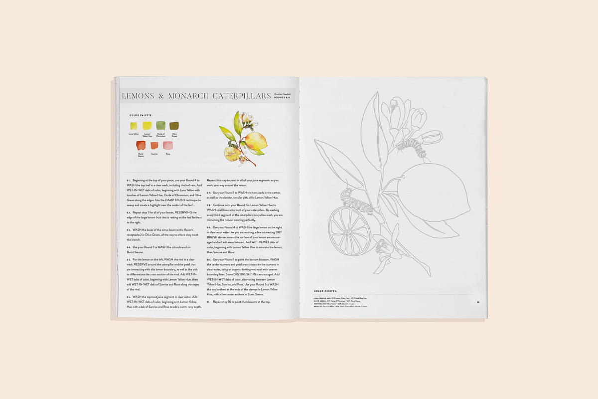 Watercolor Workbook 2: Flowers, Feathers, & Animal Friends