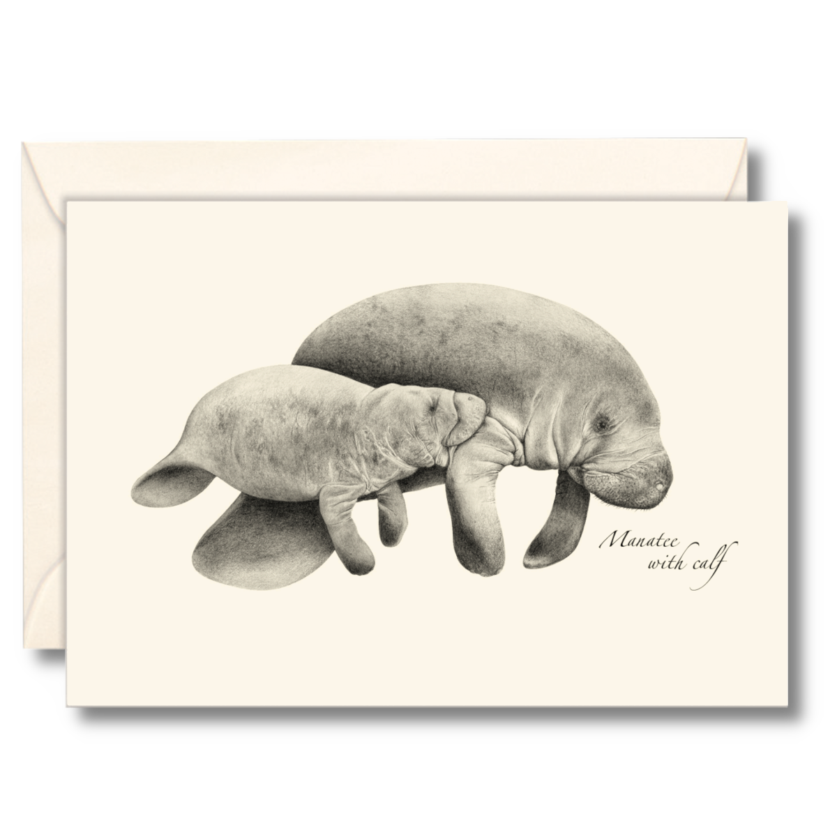 Manatees