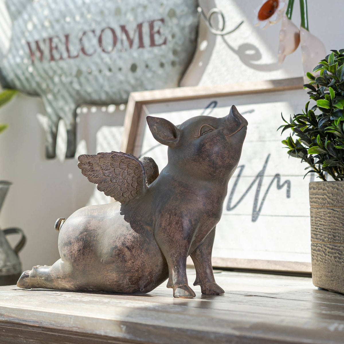 Flying Pig