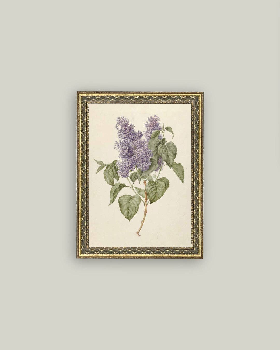Lilac Branch Framed Antique Art