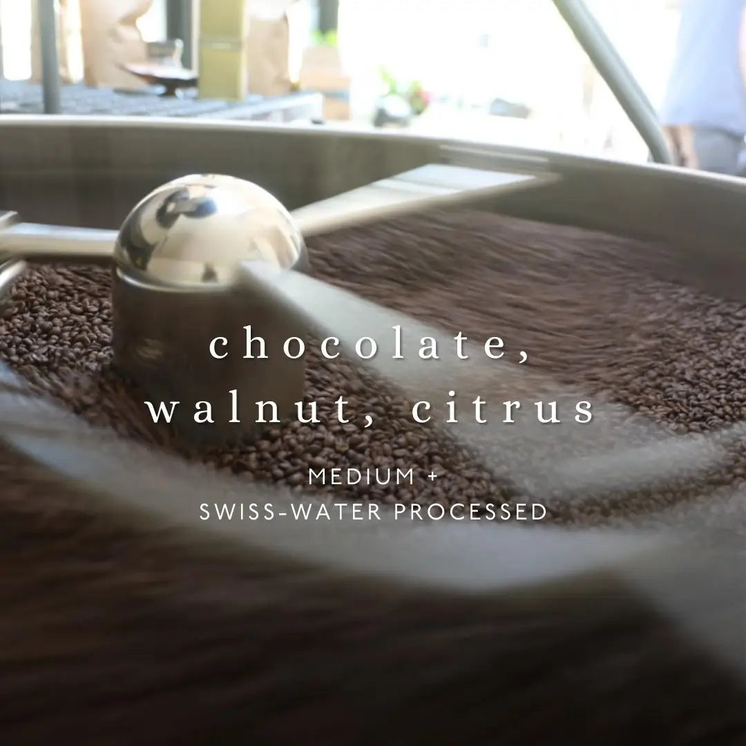 Guatemala Swiss Water Decaf Whole Bean Coffee 12 oz