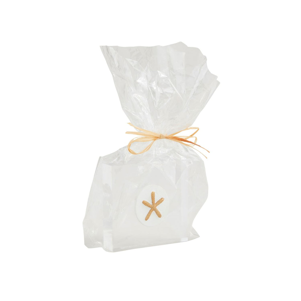 Starfish Acrylic Sitter