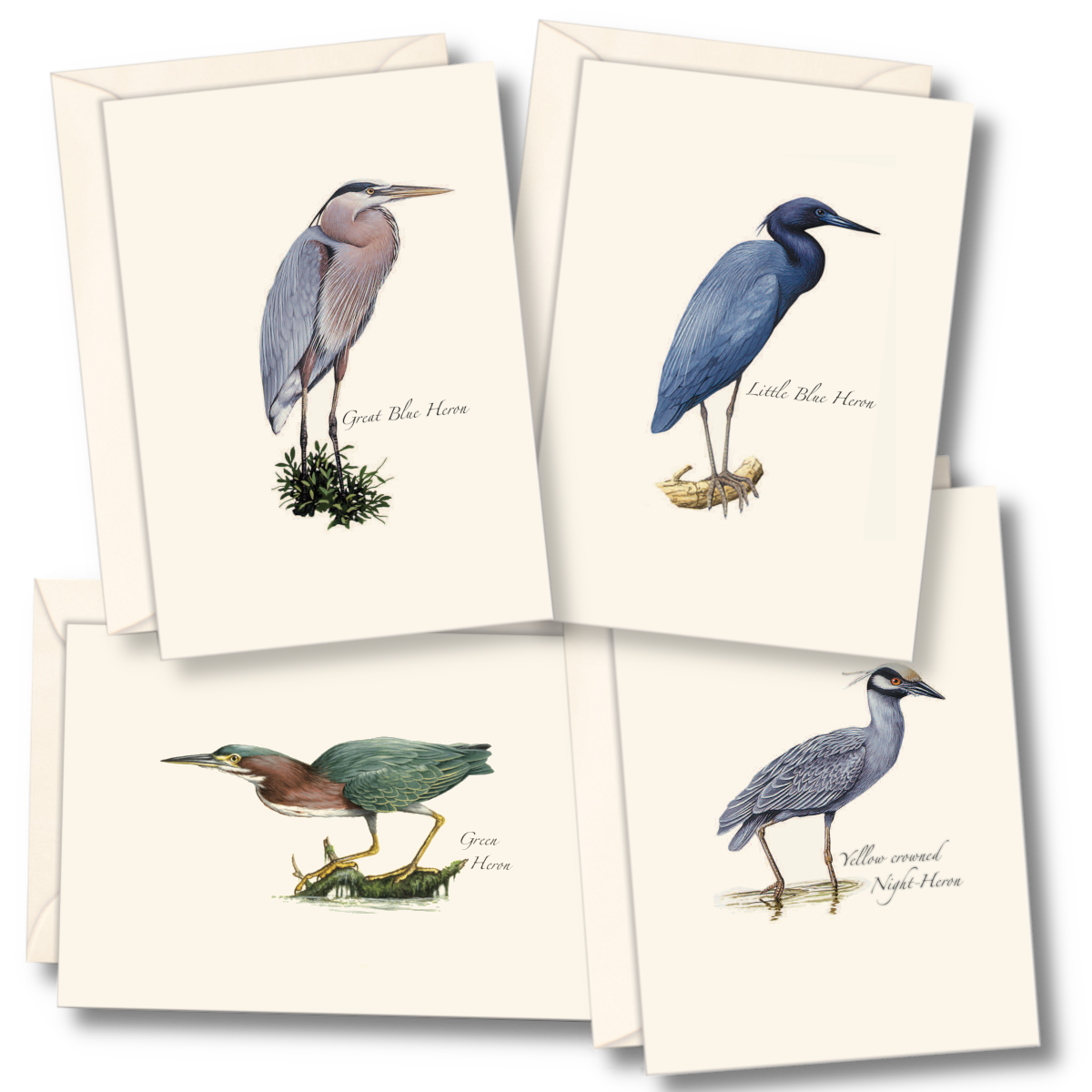 Heron Assortment