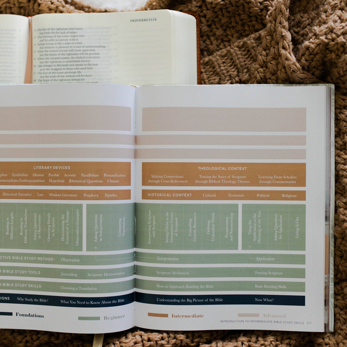 The Bible Study Handbook | Coffee Table Book