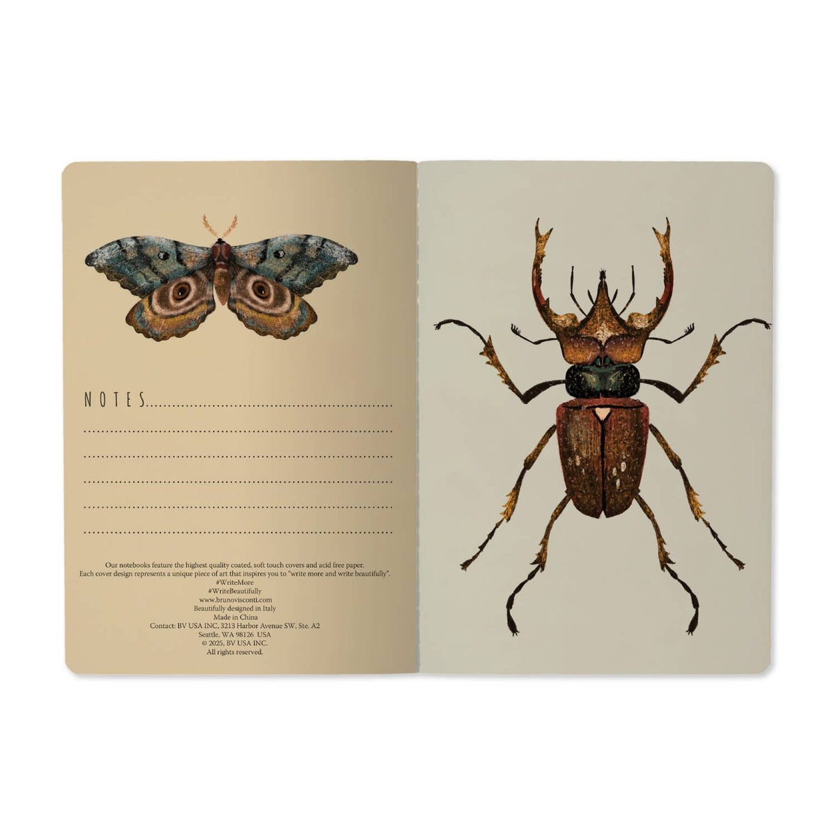 A5 Notebook - Entomology 