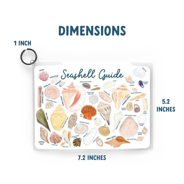 Caribbean Shell Guide Seashell Guide, Waterproof Shell Reference, Beach Bag, ID - One Amazing ...