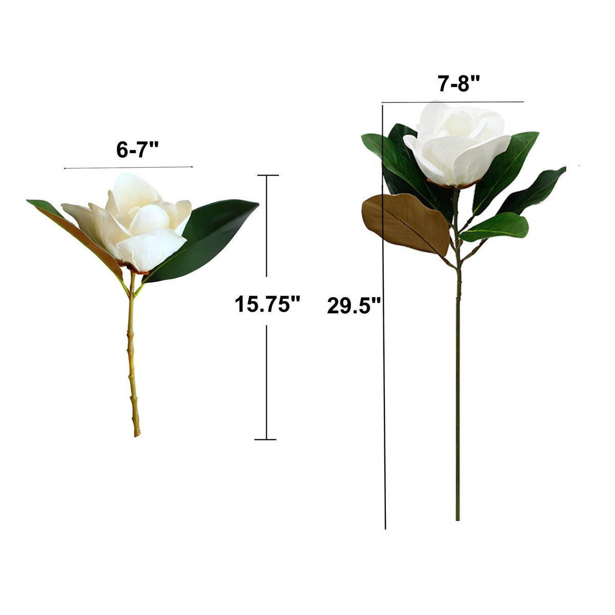 Realistic 6-8"Large bloom Magnolia Flower with Leaves