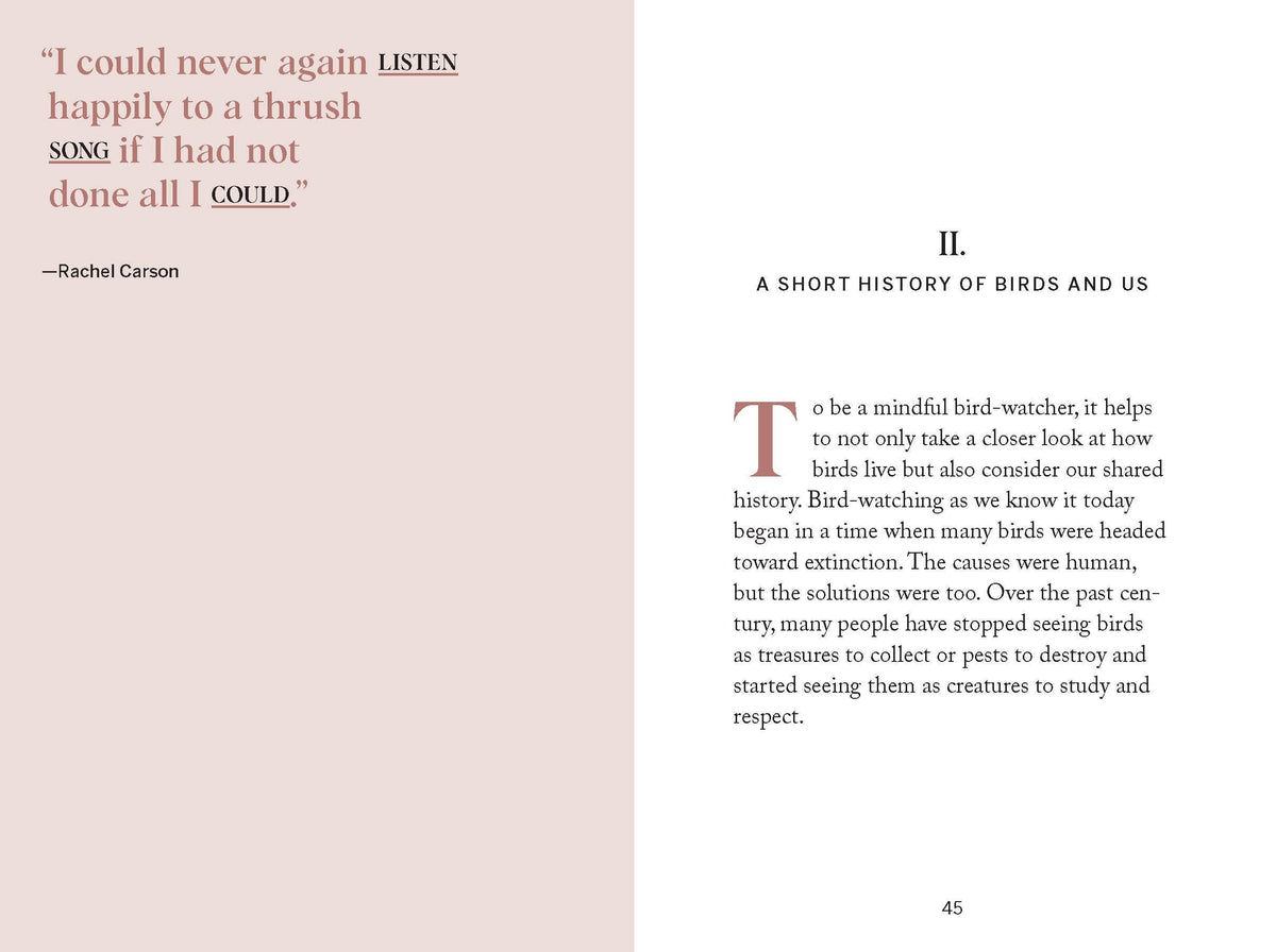 Pocket Nature: Bird-Watching