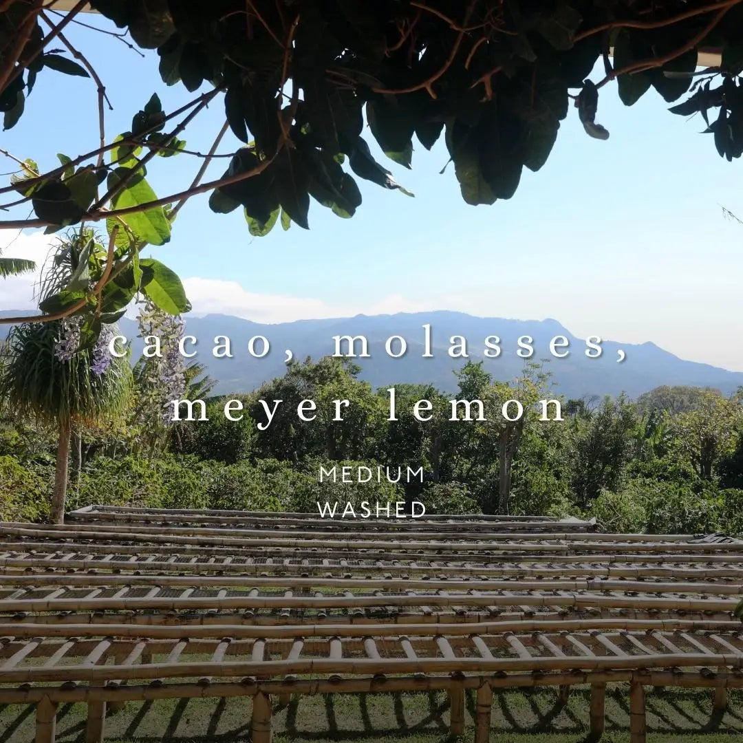 Berkshire Sky Blend Whole Bean Coffee 12 oz