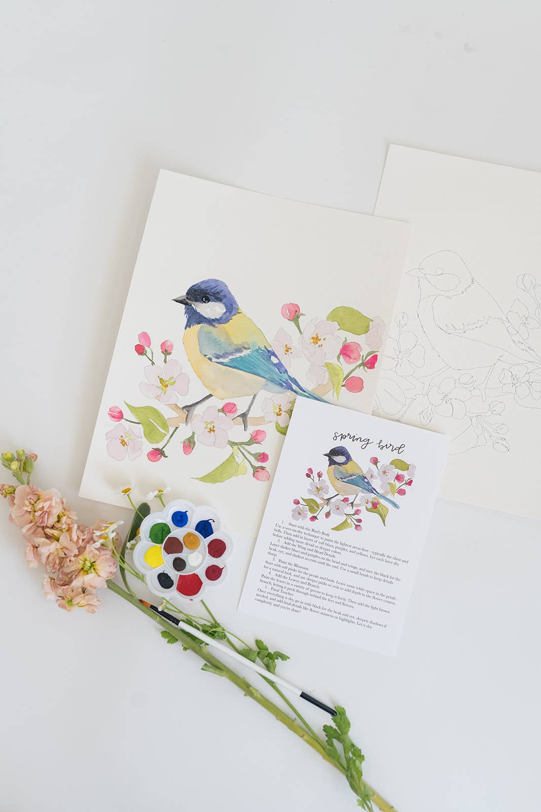 Spring bird - watercolor kit