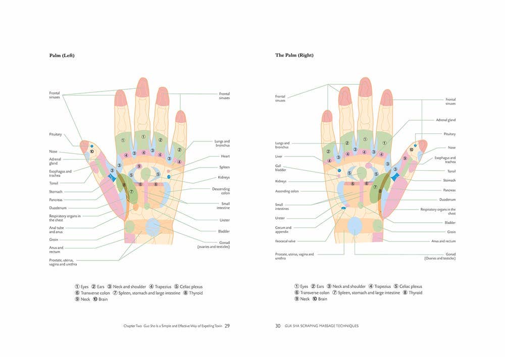 Gua Sha Scraping Massage Techniques
