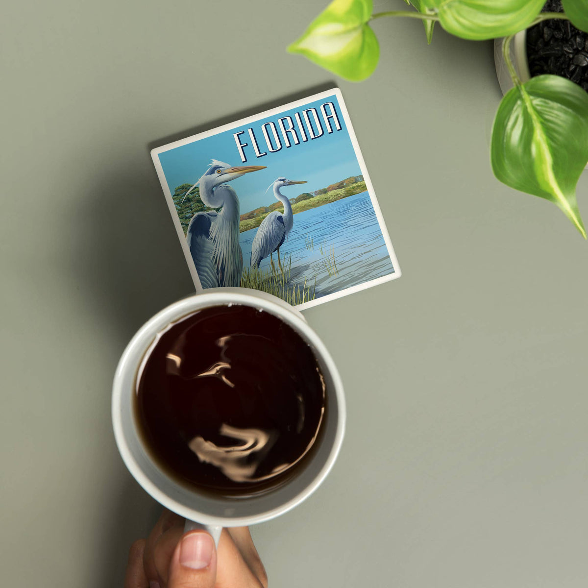 CERAMIC COASTER Florida, Blue Herons in grass