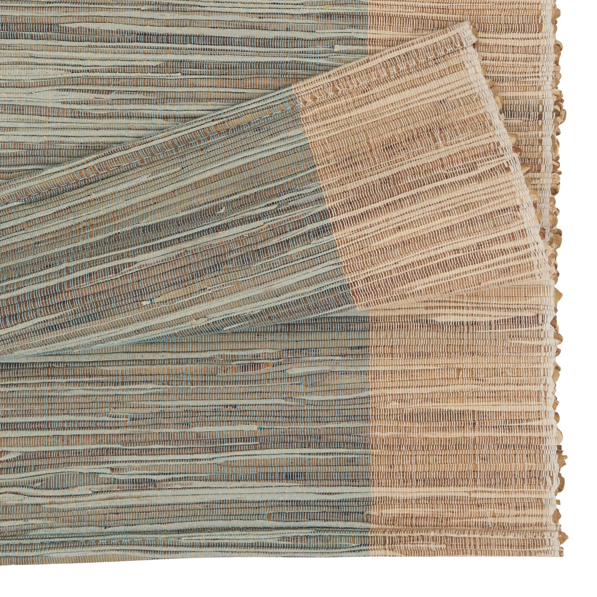 Shimmering Banded Runner