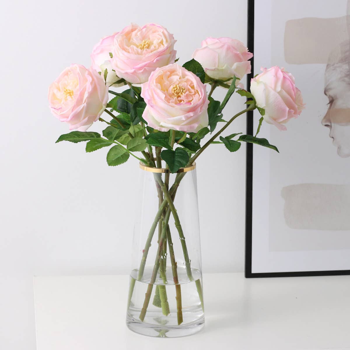 17"OR 24"Premium Real touch English Austin Cabbage Rose Stem