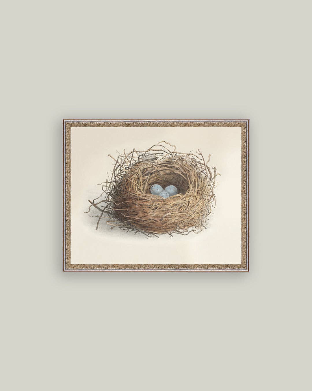 Blue Eggs in a Nest Framed Antique Art