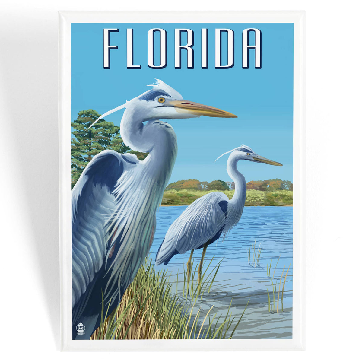 MAGNET Florida, Blue Herons in grass