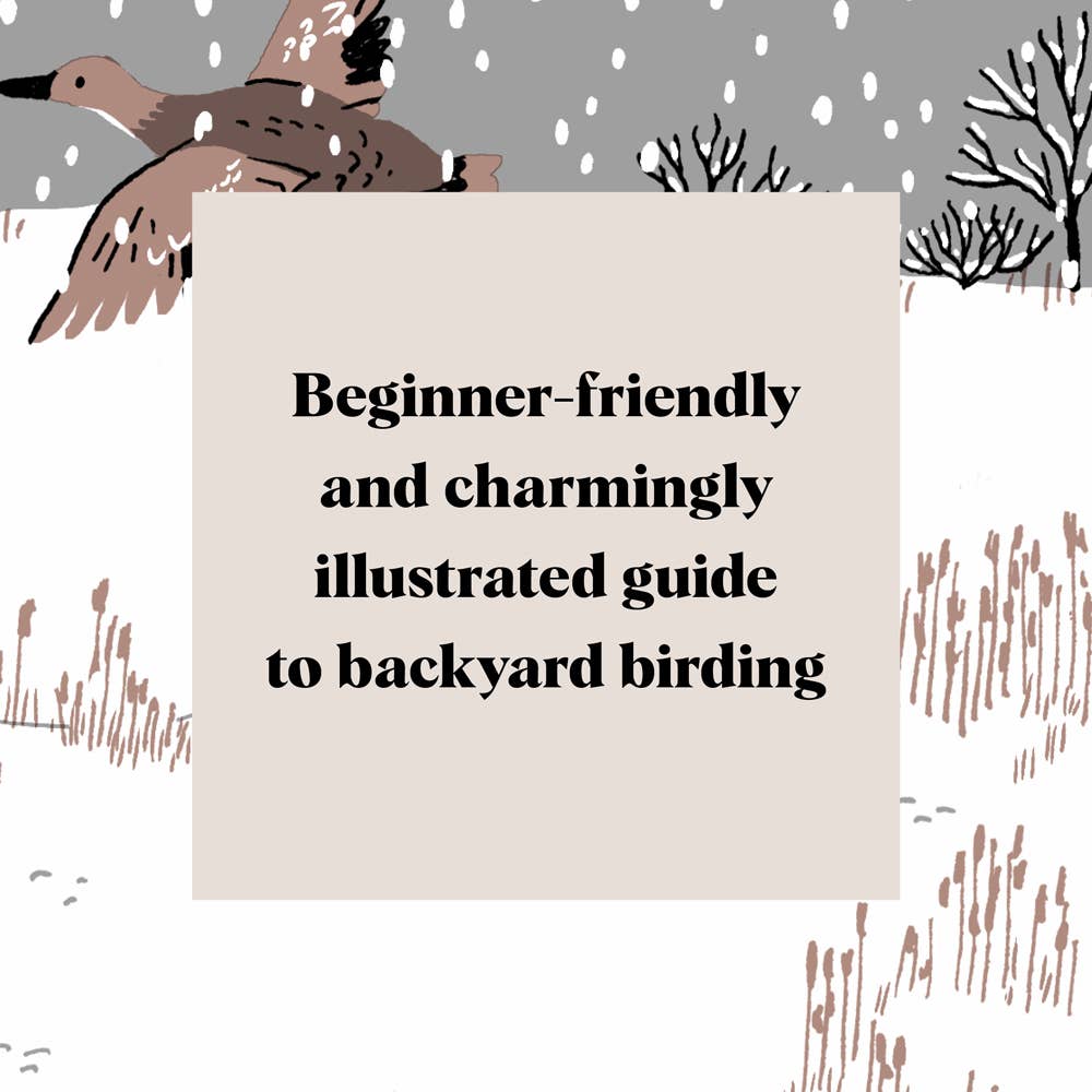 Pocket Nature: Bird-Watching