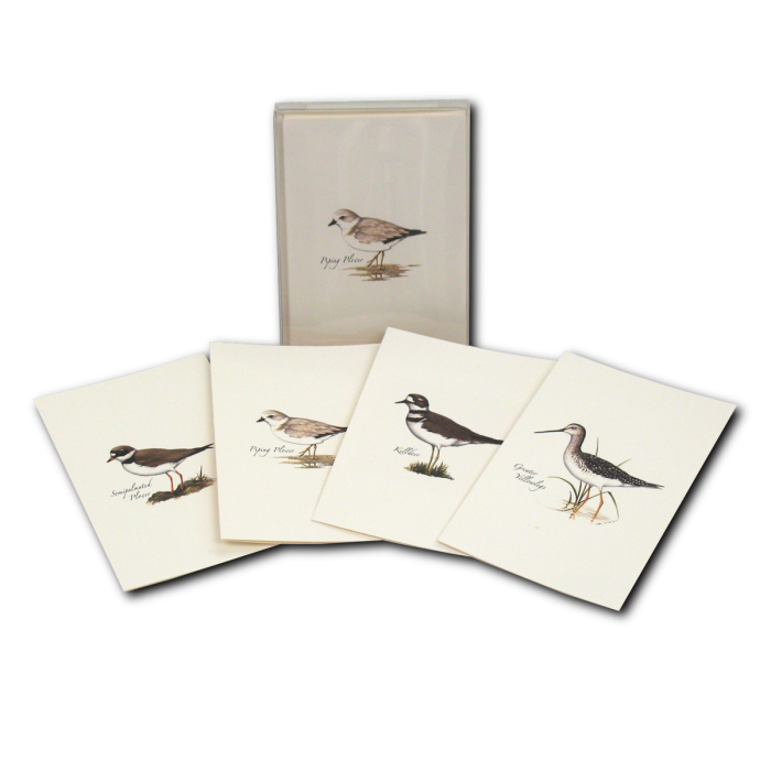 Shorebird Assortment