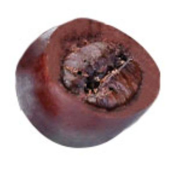 All-Natural Dark Chocolate Espresso Beans - 6 oz Bag