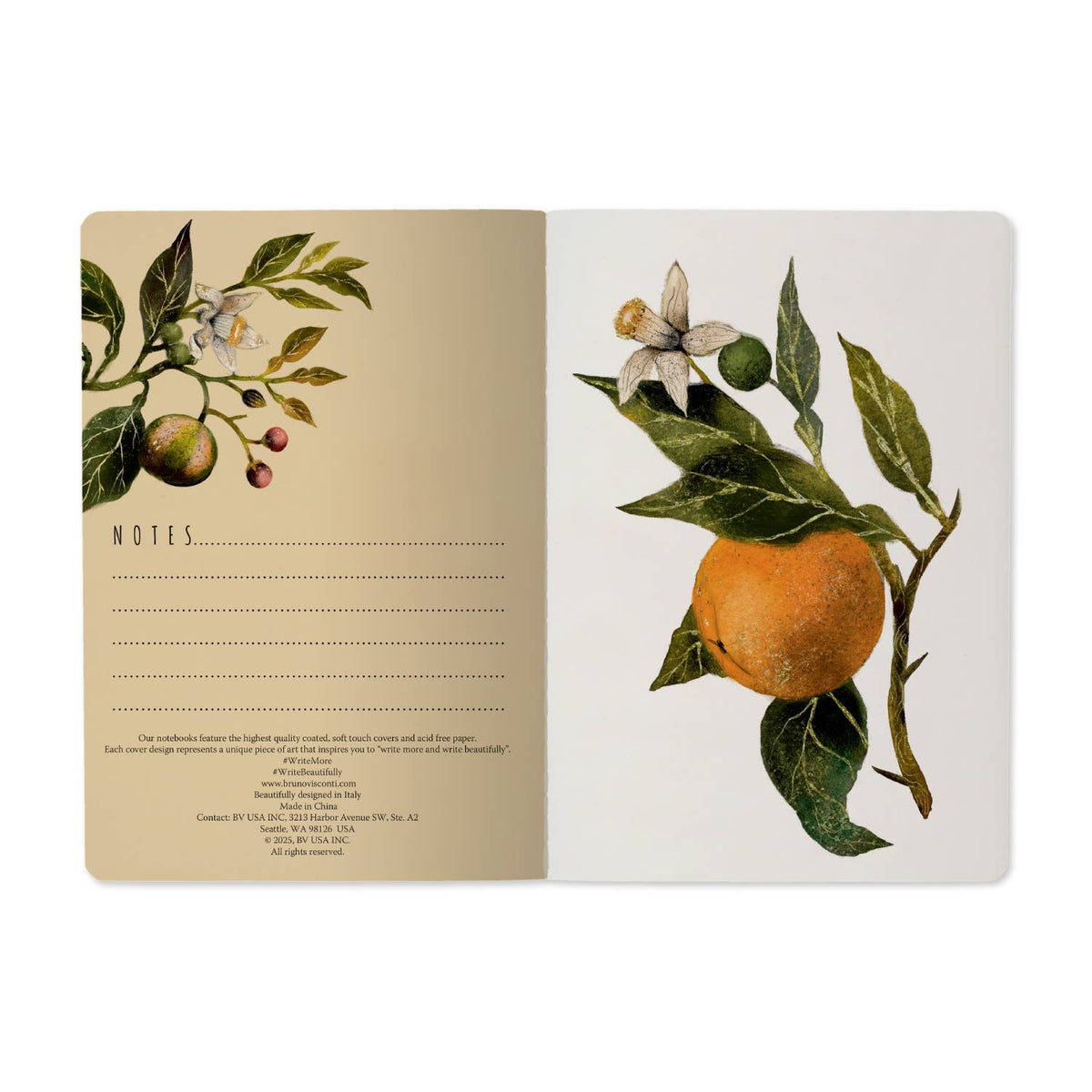 A5 Notebook - Oranges and Blossoms 