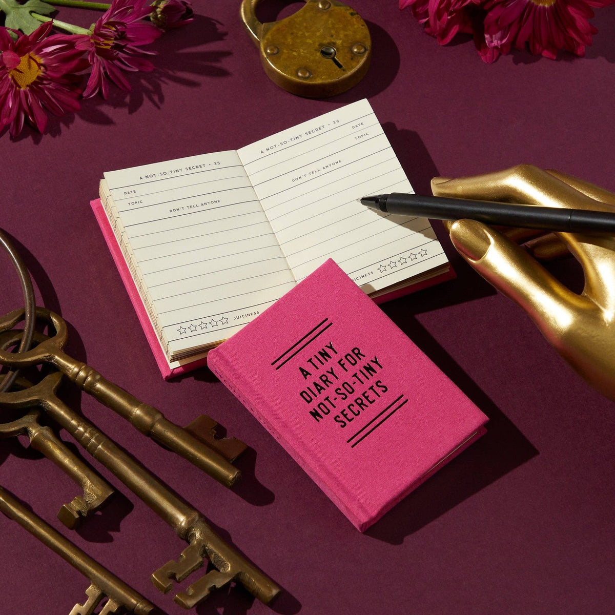 Brass Monkey Tiny Diary for Not So Tiny Secrets