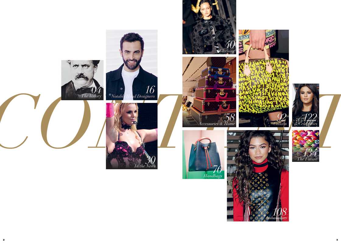 Essence of Louis Vuitton by Kelly  Reising