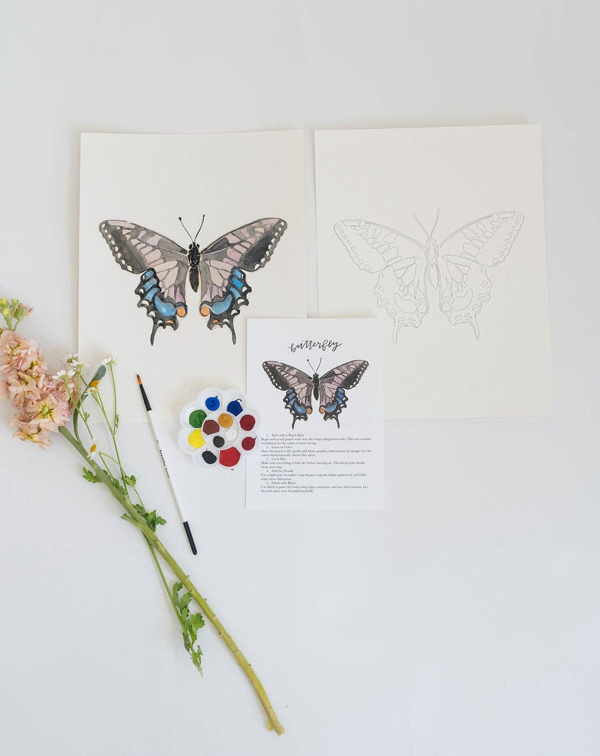 Butterfly - watercolor kit