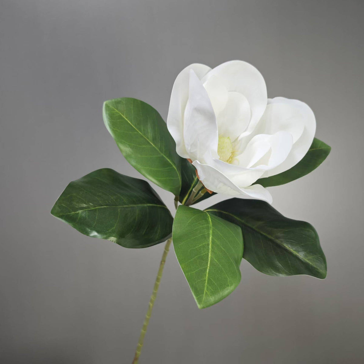 Realistic 6-8"Large bloom Magnolia Flower with Leaves