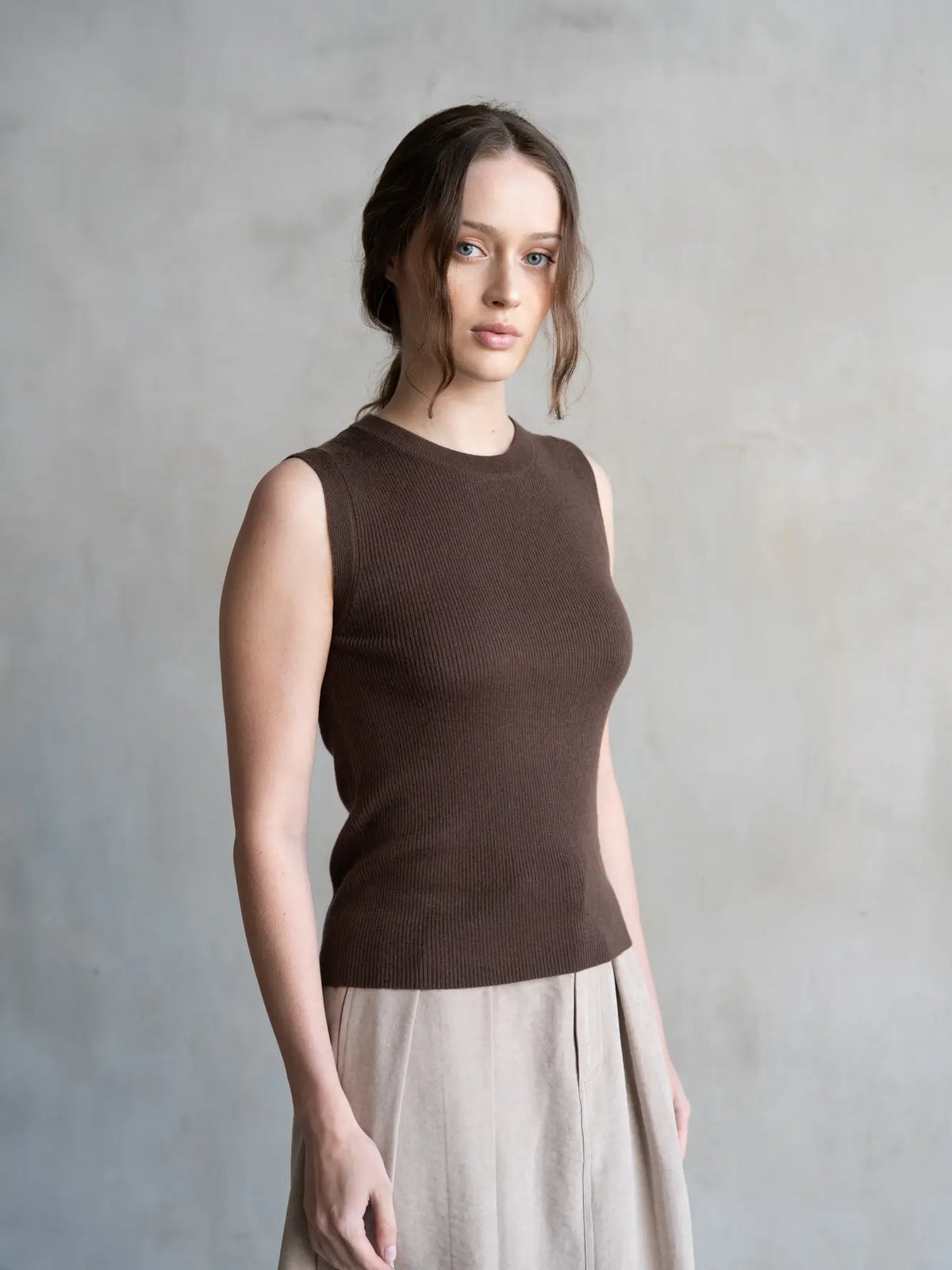 Crew Neck Regular Sweater Vest