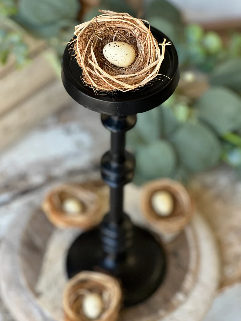 Brindled Bower Nests -