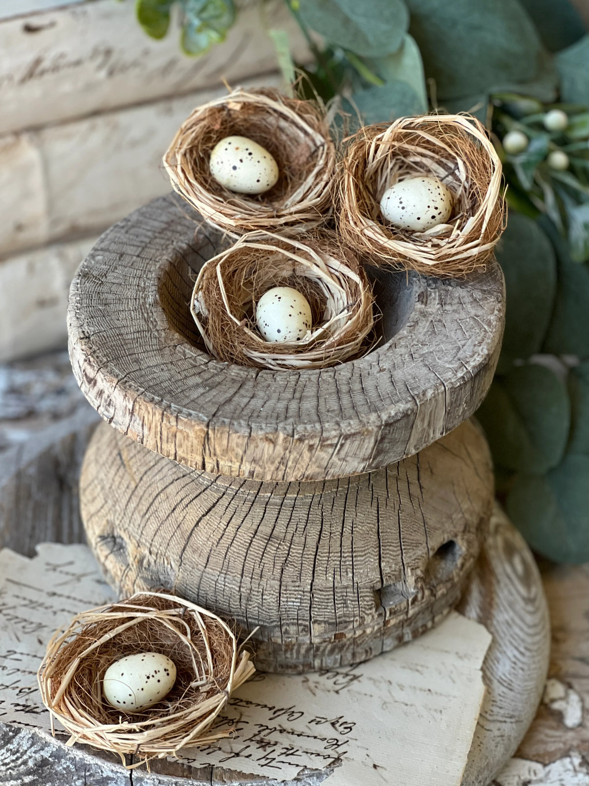 Brindled Bower Nests -