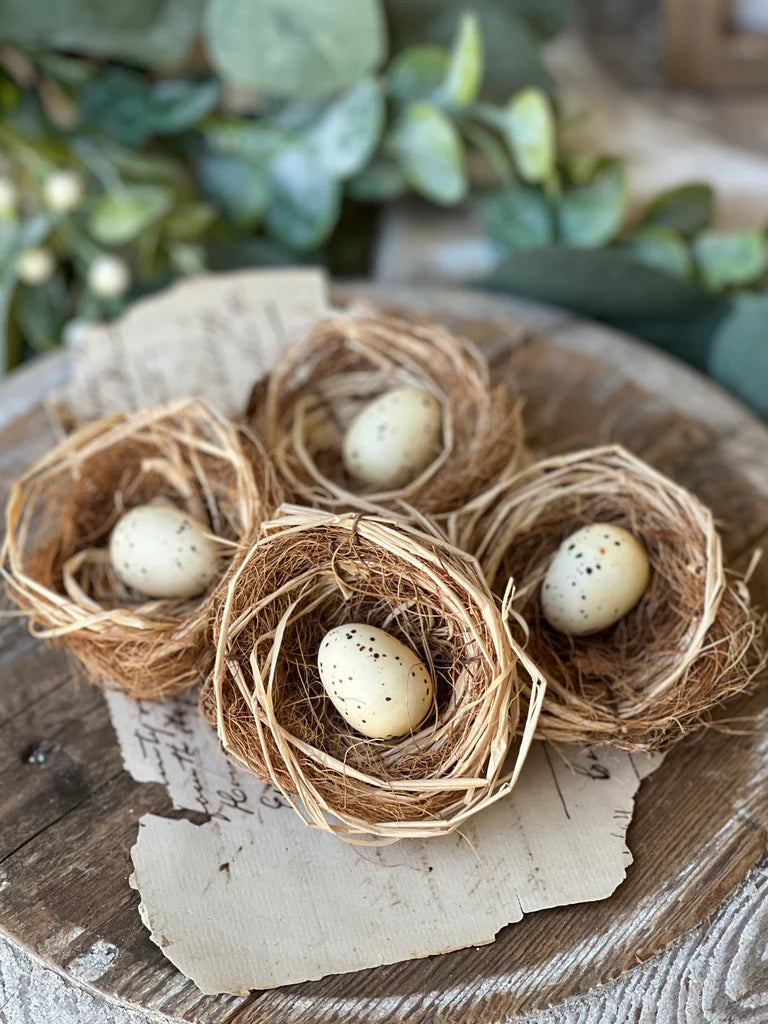Brindled Bower Nests -