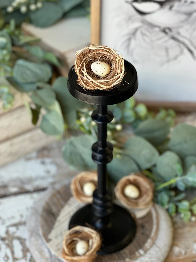 Brindled Bower Nests -