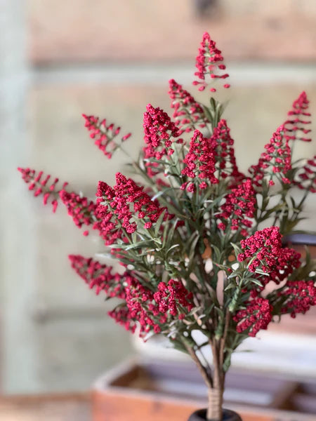 Fenwick Buds Bush | 17" | Red