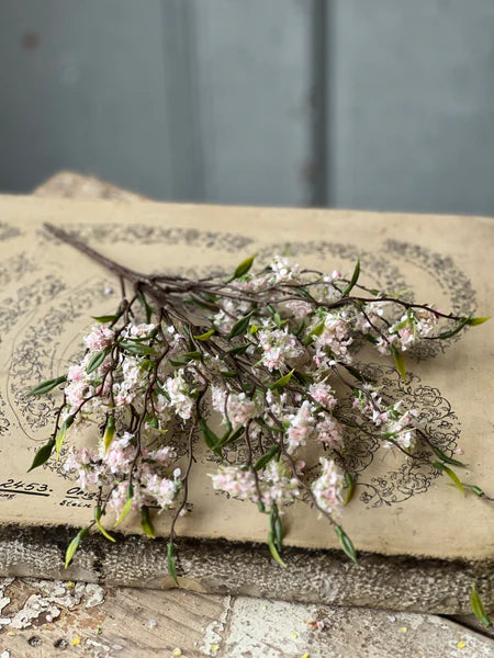 Light Pink Bliss Buds 13" Bush