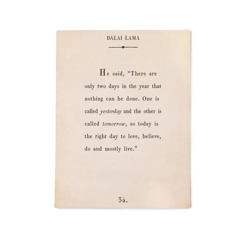 12"x16" Dalai Lama Book Collection Art Poster - Cream