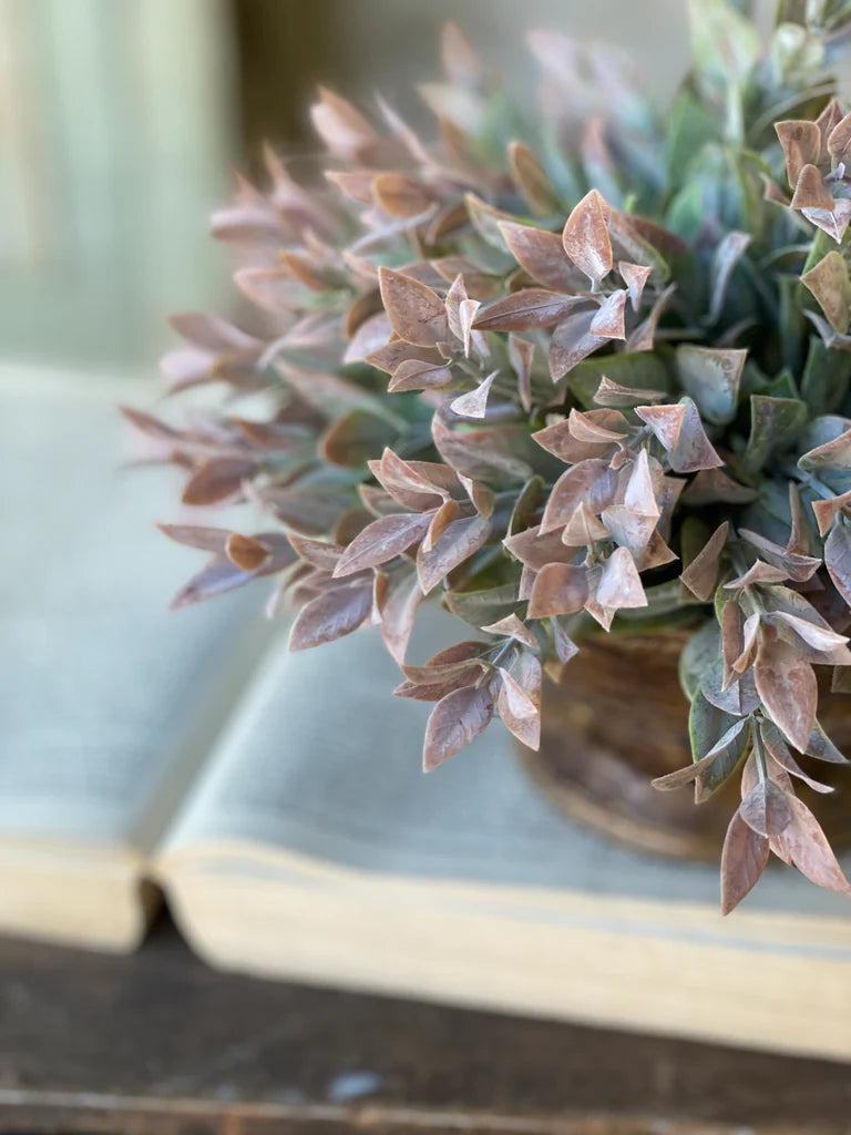 Dawn's Break 11" Half Sphere