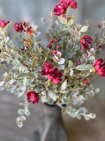 Chalice Dark Red Blooms 11" Bush