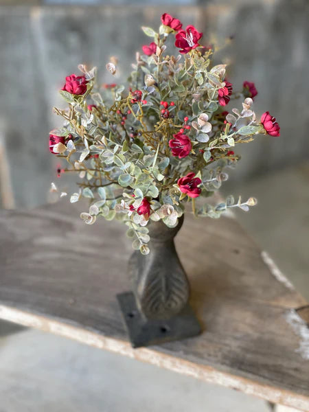 Chalice Dark Red Blooms 11" Bush
