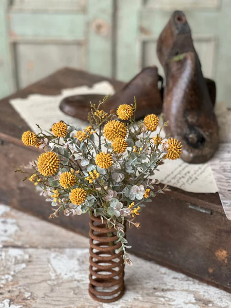 Mustard Fall Garden 10" Bush