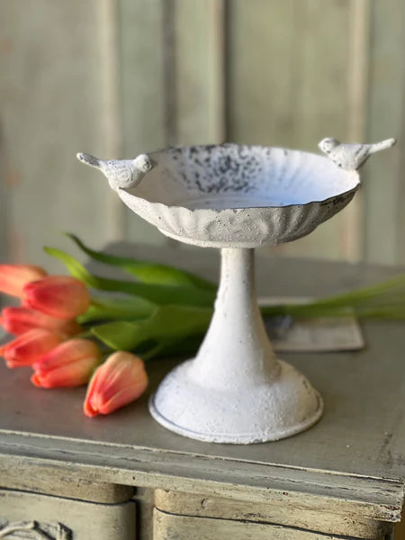 Cream 8" Bird Feeder with Bird